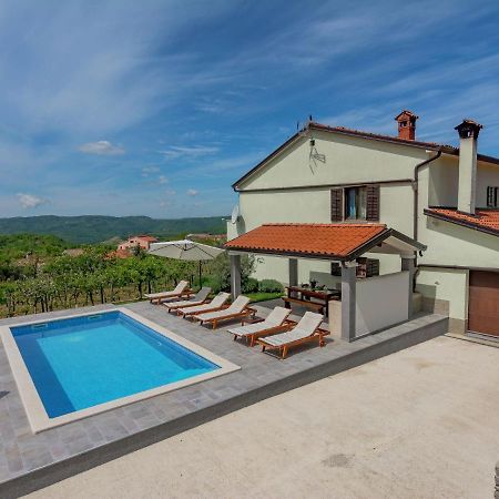 Spacious Apartment In Pazin With Pool Cerovlje Dış mekan fotoğraf