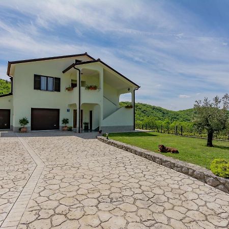 Spacious Apartment In Pazin With Pool Cerovlje Dış mekan fotoğraf